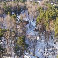Участок Павловский лес